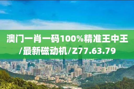 澳门一肖一码100%精准王中王/最新磁动机/Z77.63.79