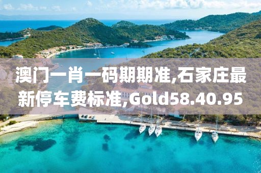 澳门一肖一码期期准,石家庄最新停车费标准,Gold58.40.95