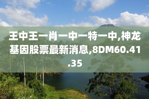 王中王一肖一中一特一中,神龙基因股票最新消息,8DM60.41.35