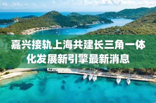 嘉兴接轨上海共建长三角一体化发展新引擎最新消息