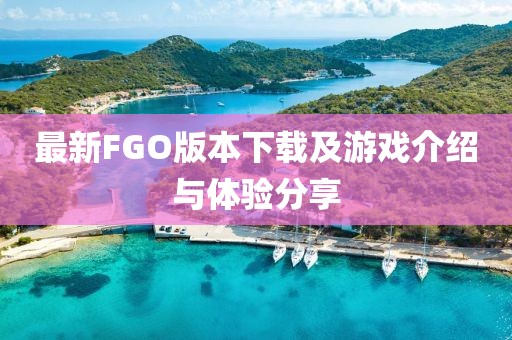 最新FGO版本下载及游戏介绍与体验分享