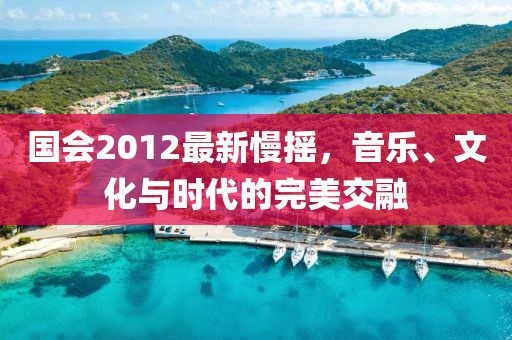 国会2012最新慢摇，音乐、文化与时代的完美交融