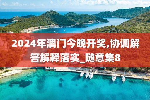 2024年澳门今晚开奖,协调解答解释落实_随意集8