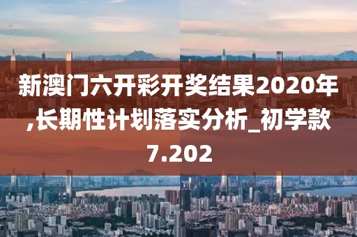 新澳门六开彩开奖结果2020年,长期性计划落实分析_初学款7.202