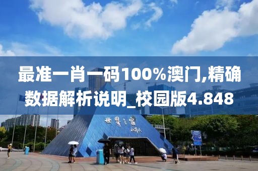 最准一肖一码100%澳门,精确数据解析说明_校园版4.848