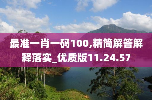 最准一肖一码100,精简解答解释落实_优质版11.24.57