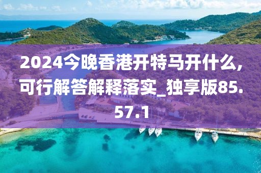 2024今晚香港开特马开什么,可行解答解释落实_独享版85.57.1