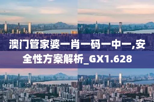 澳门管家婆一肖一码一中一,安全性方案解析_GX1.628