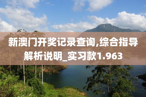 新澳门开奖记录查询,综合指导解析说明_实习款1.963