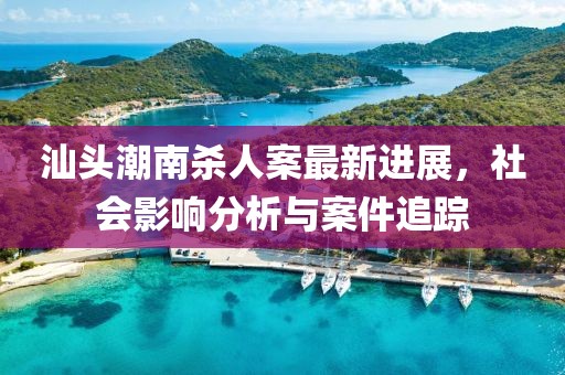 汕头潮南杀人案最新进展，社会影响分析与案件追踪