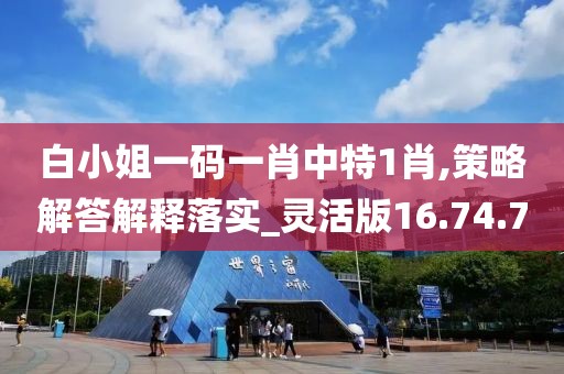 白小姐一码一肖中特1肖,策略解答解释落实_灵活版16.74.70