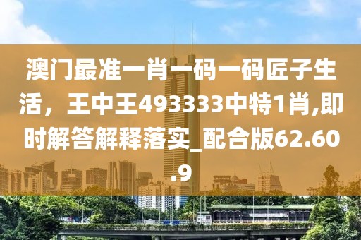 澳门最准一肖一码一码匠子生活，王中王493333中特1肖,即时解答解释落实_配合版62.60.9