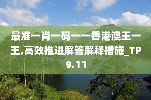 最准一肖一码一一香港澳王一王,高效推进解答解释措施_TP9.11