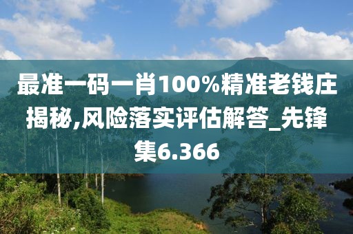 最准一码一肖100%精准老钱庄揭秘,风险落实评估解答_先锋集6.366