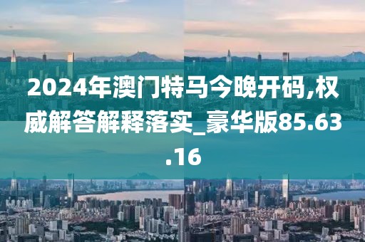 2024年澳门特马今晚开码,权威解答解释落实_豪华版85.63.16