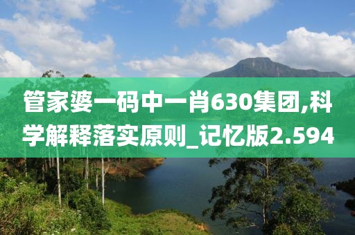 管家婆一码中一肖630集团,科学解释落实原则_记忆版2.594