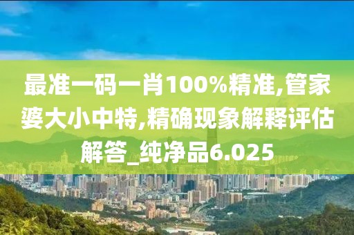 最准一码一肖100%精准,管家婆大小中特,精确现象解释评估解答_纯净品6.025