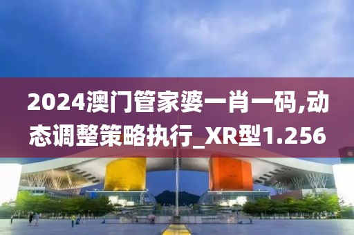 2024澳门管家婆一肖一码,动态调整策略执行_XR型1.256