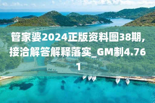 管家婆2024正版资料图38期,接洽解答解释落实_GM制4.761