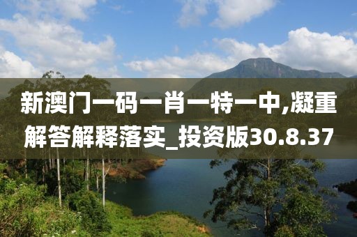 新澳门一码一肖一特一中,凝重解答解释落实_投资版30.8.37