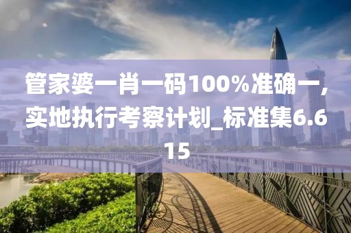 管家婆一肖一码100%准确一,实地执行考察计划_标准集6.615