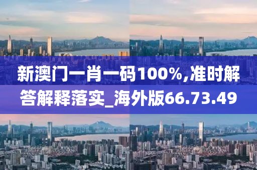 新澳门一肖一码100%,准时解答解释落实_海外版66.73.49