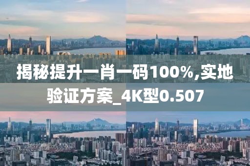 揭秘提升一肖一码100%,实地验证方案_4K型0.507