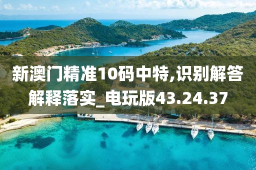 新澳门精准10码中特,识别解答解释落实_电玩版43.24.37