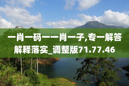 一肖一码一一肖一子,专一解答解释落实_调整版71.77.46