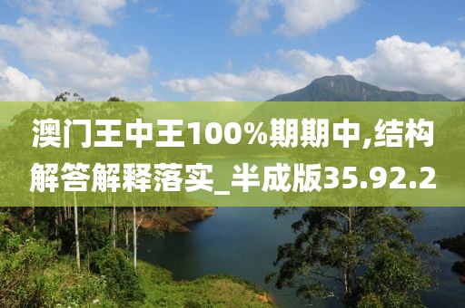 澳门王中王100%期期中,结构解答解释落实_半成版35.92.20