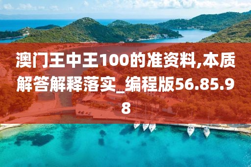 澳门王中王100的准资料,本质解答解释落实_编程版56.85.98