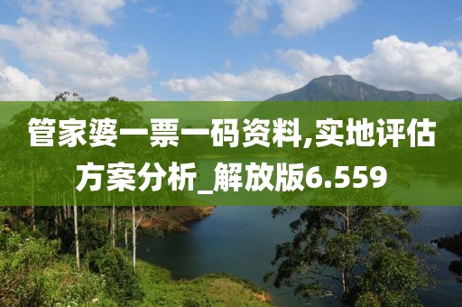 管家婆一票一码资料,实地评估方案分析_解放版6.559