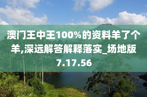 澳门王中王100%的资料羊了个羊,深远解答解释落实_场地版7.17.56