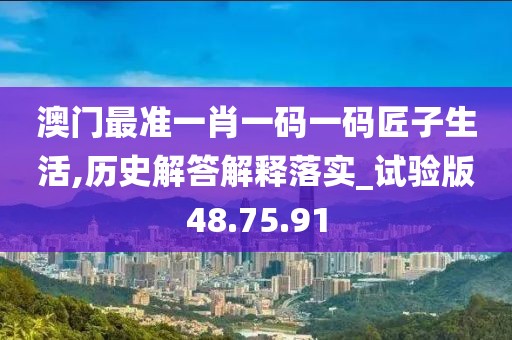 澳门最准一肖一码一码匠子生活,历史解答解释落实_试验版48.75.91