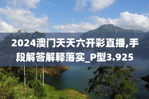 2024澳门天天六开彩直播,手段解答解释落实_P型3.925