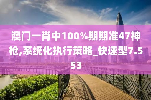 澳门一肖中100%期期准47神枪,系统化执行策略_快速型7.553