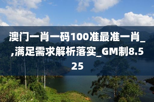 澳门一肖一码100准最准一肖_,满足需求解析落实_GM制8.525