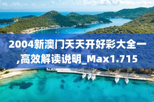 2004新澳门天天开好彩大全一,高效解读说明_Max1.715