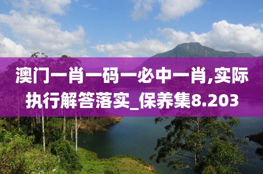 澳门一肖一码一必中一肖,实际执行解答落实_保养集8.203