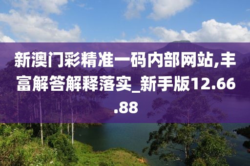 新澳门彩精准一码内部网站,丰富解答解释落实_新手版12.66.88