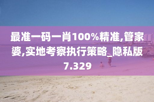 最准一码一肖100%精准,管家婆,实地考察执行策略_隐私版7.329