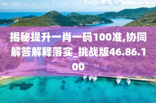 揭秘提升一肖一码100准,协同解答解释落实_挑战版46.86.100