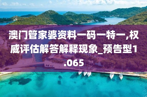 澳门管家婆资料一码一特一,权威评估解答解释现象_预告型1.065