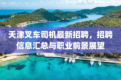 天津叉车司机最新招聘，招聘信息汇总与职业前景展望