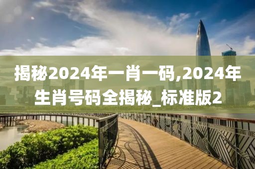 揭秘2024年一肖一码,2024年生肖号码全揭秘_标准版2