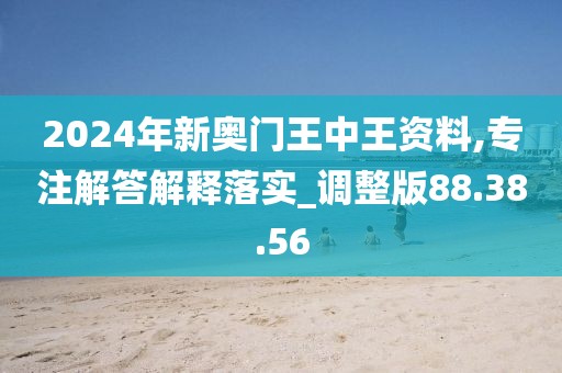 2024年新奥门王中王资料,专注解答解释落实_调整版88.38.56