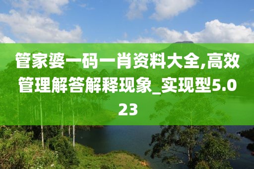 管家婆一码一肖资料大全,高效管理解答解释现象_实现型5.023