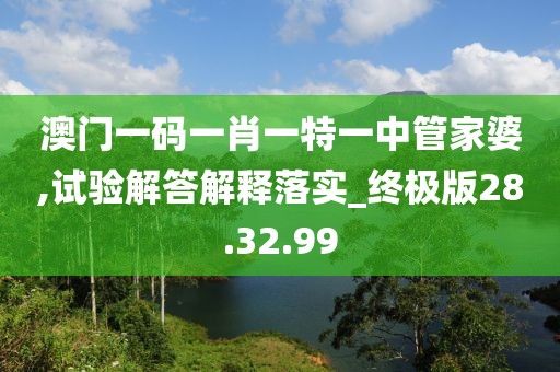 澳门一码一肖一特一中管家婆,试验解答解释落实_终极版28.32.99