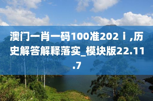 澳门一肖一码100准202ⅰ,历史解答解释落实_模块版22.11.7