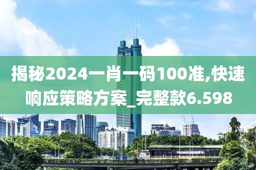 揭秘2024一肖一码100准,快速响应策略方案_完整款6.598